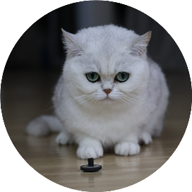 KAI的展览展示日记