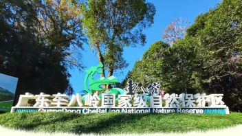 广东车八岭自然保护区科普项目：森林奇径大环线4800米探秘物种宝库