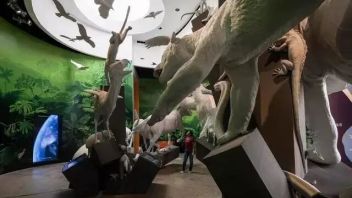 这些具有网红气质的博物馆让人眼前一亮