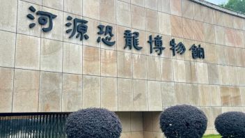 河源<b>恐龙博物馆</b>攻略：探秘全球最多恐龙蛋，亲子沉浸式体验推荐！