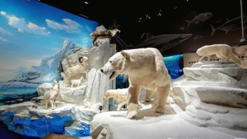 点亮双碳未来！安达代表作入选绿色展览优秀案例