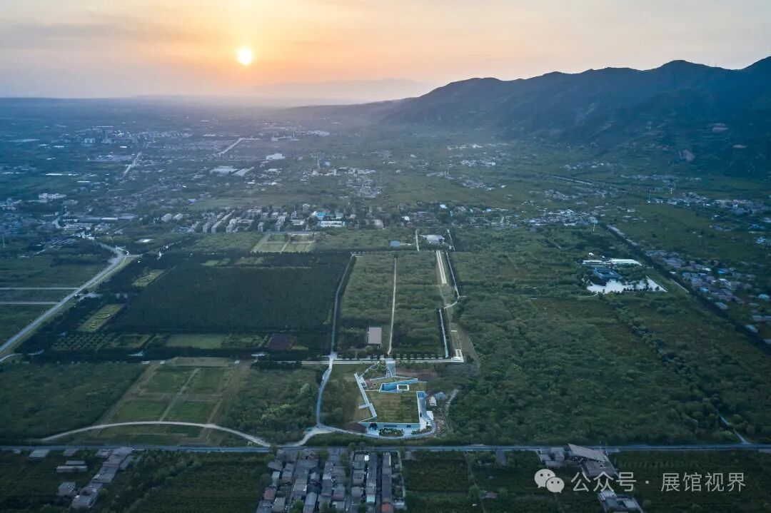 彩绘铜车马文物实拍