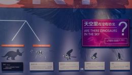 霸王龙骨架+窃蛋龙故事：国家海洋博物馆“龙的时代”展陈设计全解析
