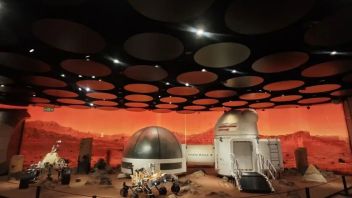 艺术与商业融合新趋势：沉浸式消费空间案例与升级路径解析