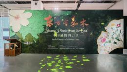 中国园林博物馆《东方有嘉木——中国植物的力量》特展：亲子研学+互动体验