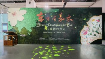 中国园林博物馆《东方有嘉木——中国植物的力量》特展：亲子研学+互动体验