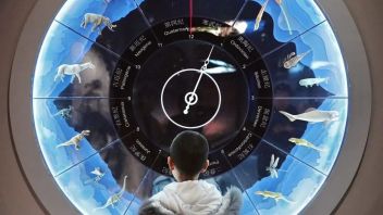 新疆地质矿产博物馆展陈设计：九大展厅、镇馆之宝与交互体验