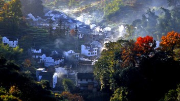 森林旅游类型全解析：观光、康养、户外运动与科普教育