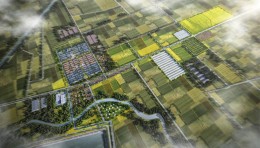 薛团花生一二三产融合项目：农文旅融合打造乡村振兴新样板