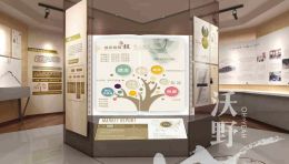 大榭国税局银杏廉政文化展厅：以银杏精神为魂，打造廉政文化教育新阵地