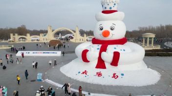 跨年迎新消费特征分析：<b>冰雪旅游</b>、科技赋能与跨境游成亮点