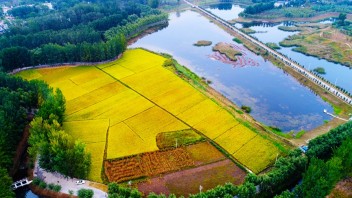 国内外<b>康养旅游</b>案例研究：从江苏大泗镇到德国巴登巴登小镇