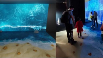 展览设计新思维：超越信息容器，用可持续与数字化实践构建长效叙事