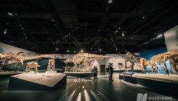 自然博物馆体验式展览策略：创新展示设计与科普教育方法