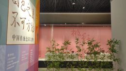 国色之美不可方物：中国传统色彩文物展在伊犁开幕，六大主题色解读东方美学