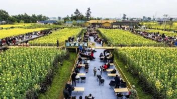 从赏花到旅拍、露营：“春日经济”背后的产业链与消费新场景