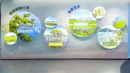 钦州港新地标：城市看台负一层红树林科普，一层数字沙盘，二层功能配套