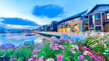 旅居云南新趋势：从“打卡旅游”到“诗意栖居”的深度体验