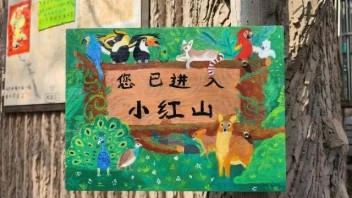 动物园IP与文创营销解析：从红山森林动物园看“可爱经济”崛起