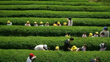 研学经济激活乡村振兴：从农耕活化到青年返乡的实践路径