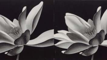 <b>非遗展览</b>策划与创新：国家大剧院木版水印技艺展的当代转化