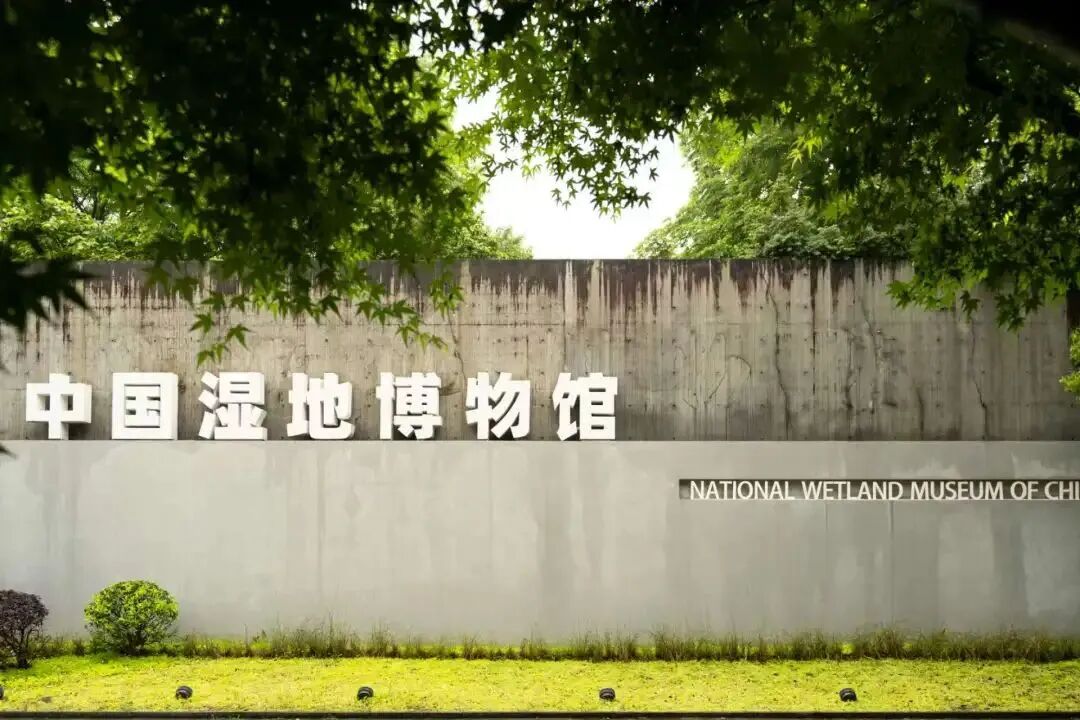 中国湿地博物馆：国家级湿地科普教育示范平台与创新实践