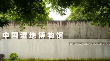 <b>中国湿地博物馆</b>：国家级湿地科普教育示范平台与创新实践
