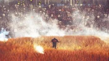 海口大型演出推动文旅融合：2024演艺经济爆发与消费拉动分析