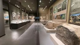 阿拉善博物馆岩画专题展正式开放：精选动植物、狩猎等题材