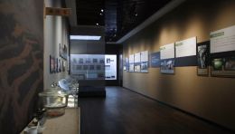 茶文化展厅设计案例：张天福的茶源、茶仙与茶人故事