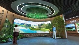 广西林业生态建设展示中心设计效果图，美创打造“绿海八桂”沉浸式生态体验