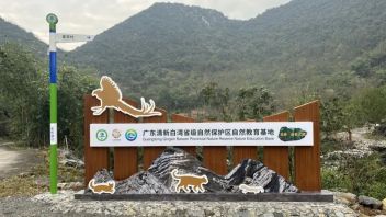 自然教育基地如何规划、设计与建设，以清新白湾为例