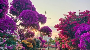 什么是田园综合体？三产融合+科技赋能的农业升级模式详解