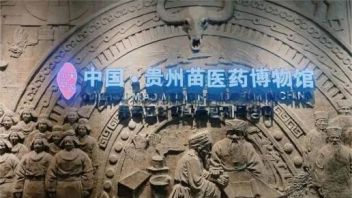 贵州<b>苗医药博物馆</b>设计：沉浸式体验苗医苗药文化与数字化展览