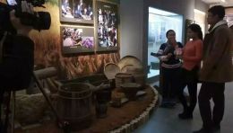 实施西林县历史文物展览提升水平工程顺利地按既定目标完成！