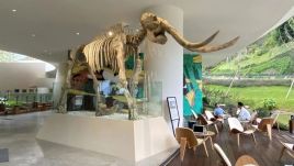 崇州古熊猫博物馆设计效果图，大熊猫化石+3D复原讲述800万年故事