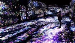 日本Teamlab登陆加州：沉浸式数字艺术展“水晶宇宙”引爆新一轮看展热潮