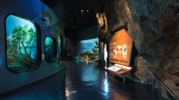 天津自然博物馆《家园·生态》展区：北京洛德打造六大洲动物全景式体验