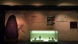 亚洲、欧洲、美洲茶文化展览：中国茶叶博物馆国际茶展