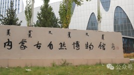 内蒙古自然博物馆设计：呼和浩特必打卡的恐龙化石与四大主题展厅