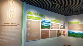 福鼎白茶展厅设计：从“山上银行”到“三茶统筹”的生动实践