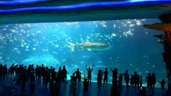 海洋旅游新机遇：政策驱动与科技赋能，推动<b>文旅消费</b>高质量发展