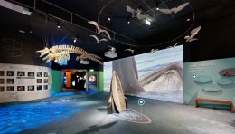 台湾国立自然科学博物馆生命科学厅：奇幻自然与机械鱿鱼体验！