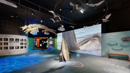 台湾国立自然科学博物馆生命科学厅：奇幻自然与机械鱿鱼体验！