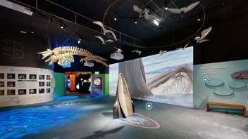 台湾<b>国立自然科学博物馆</b>生命科学厅：奇幻自然与机械鱿鱼体验！