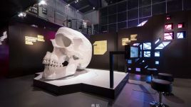 会说话的大脑I语言起源展示中心