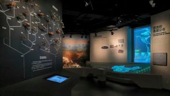 自贡<b>恐龙博物馆</b>二号馆荣获全省十大陈列展览精品奖，探秘“岩石上的巨兽时代”