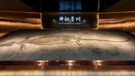 贵州地质博物馆古生物展厅设计：9亿年地质史与六大古生物群演化之旅