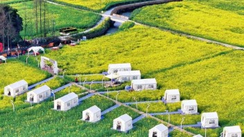 低空赏花为何成为顶流？政策红利与消费升级驱动文旅新业态