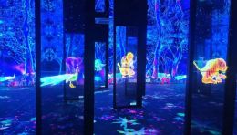 云南考古体验馆设计建设！沉浸式探秘“视+听+触”考古新体验